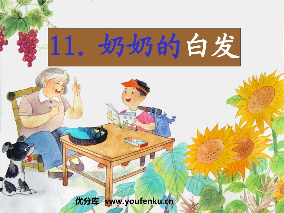 《奶奶的白发》PPT课件[苏教版一年级语文下册]_第1页