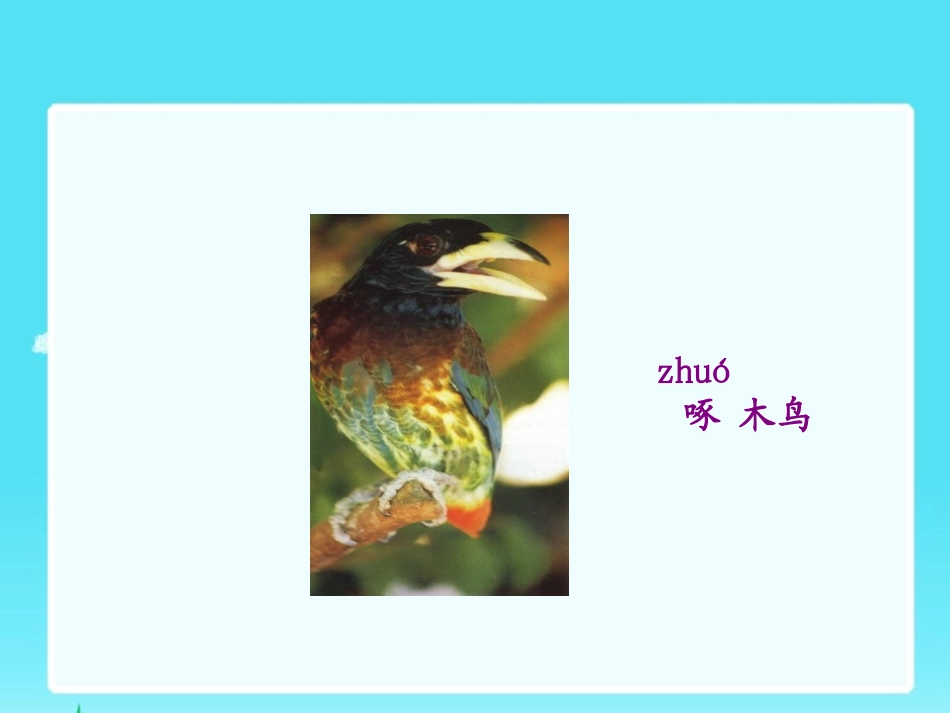 《放小鸟》PPT课件[苏教版一年级语文下册]_第3页