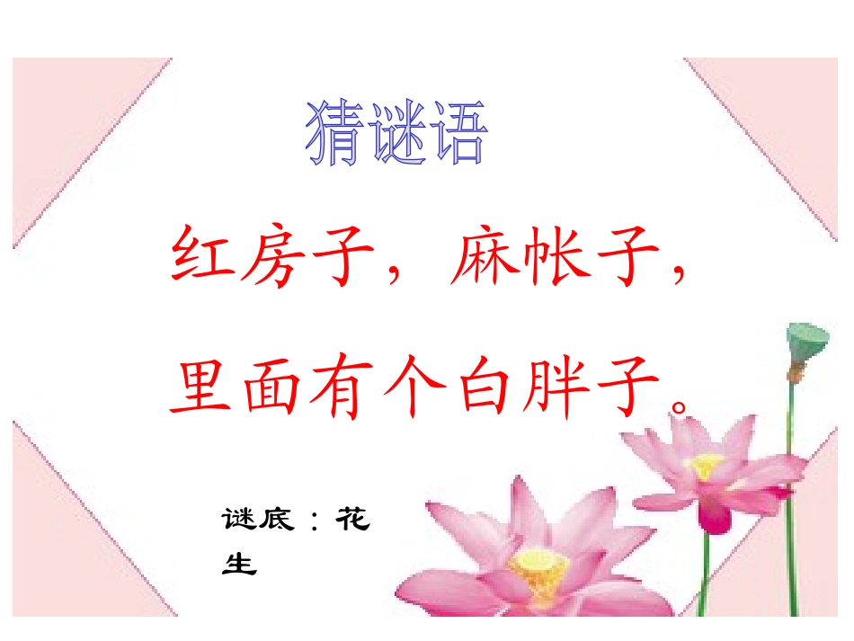 《小松鼠找花生果》PPT课件[苏教版一年级语文下册]_第2页