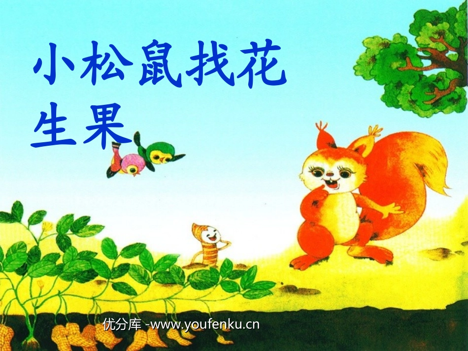 《小松鼠找花生果》PPT课件[苏教版一年级语文下册]_第1页