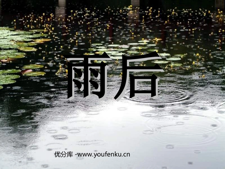 《雨后》PPT课件[苏教版二年级语文下册]_第1页