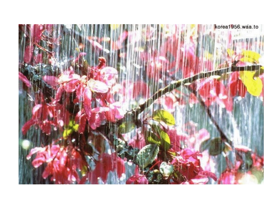 《雨后》PPT课件[苏教版二年级语文下册]_第2页