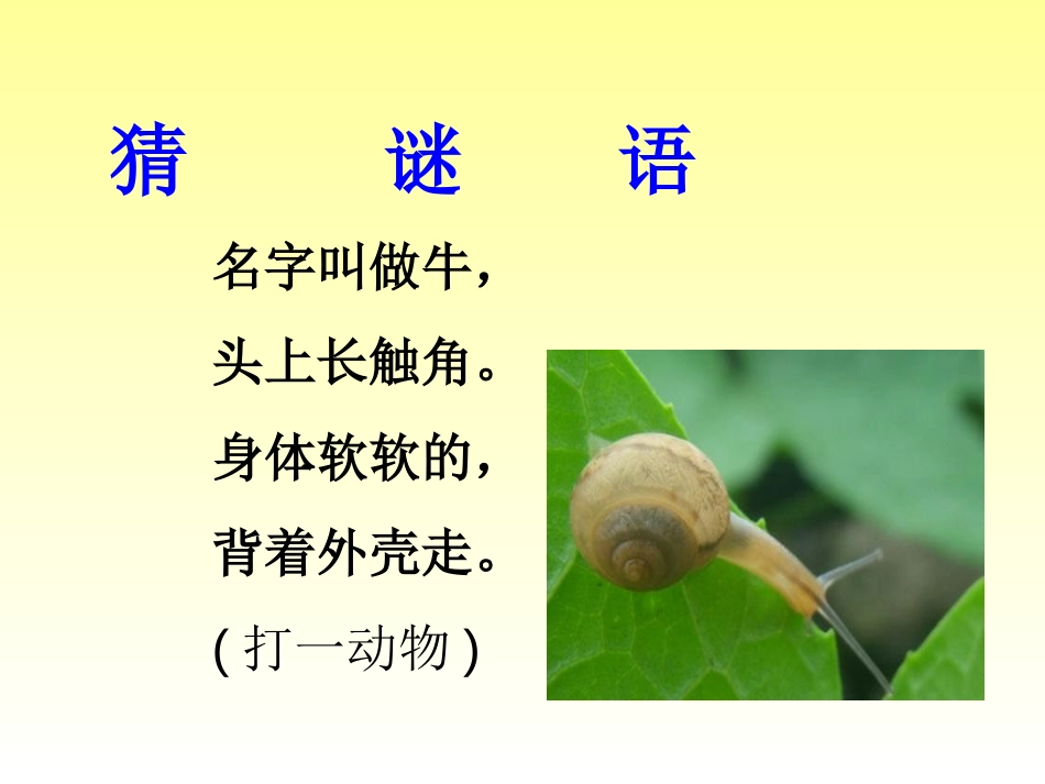 《蜗牛的奖杯》PPT课件[苏教版二年级语文下册]_第2页