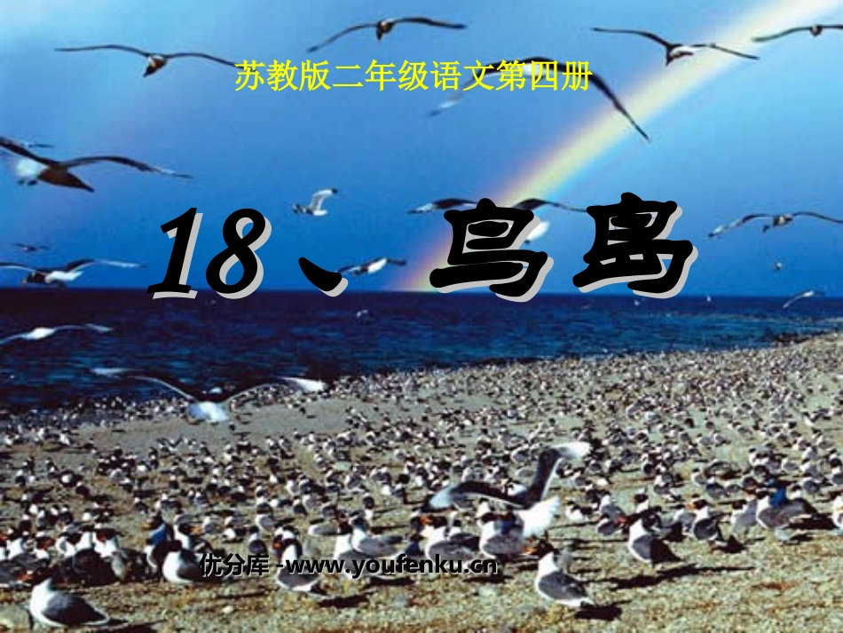 《鸟岛》PPT课件[苏教版二年级语文下册]_第1页