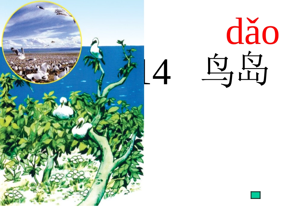 《鸟岛》PPT课件[苏教版二年级语文下册]_第2页