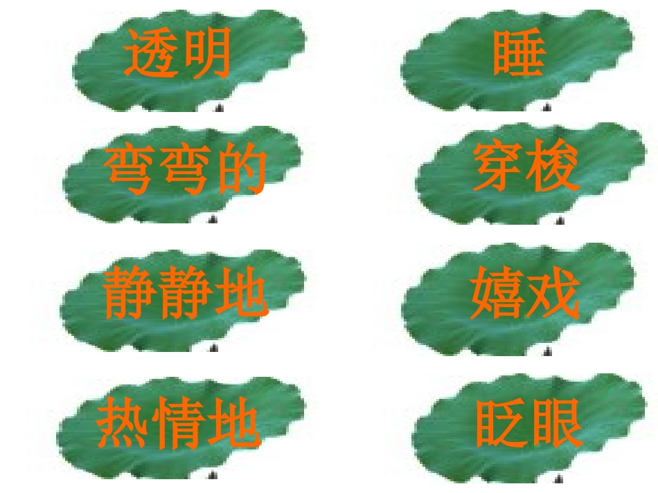 《真想变成大大的荷叶》PPT课件[苏教版二年级语文下册]_第2页
