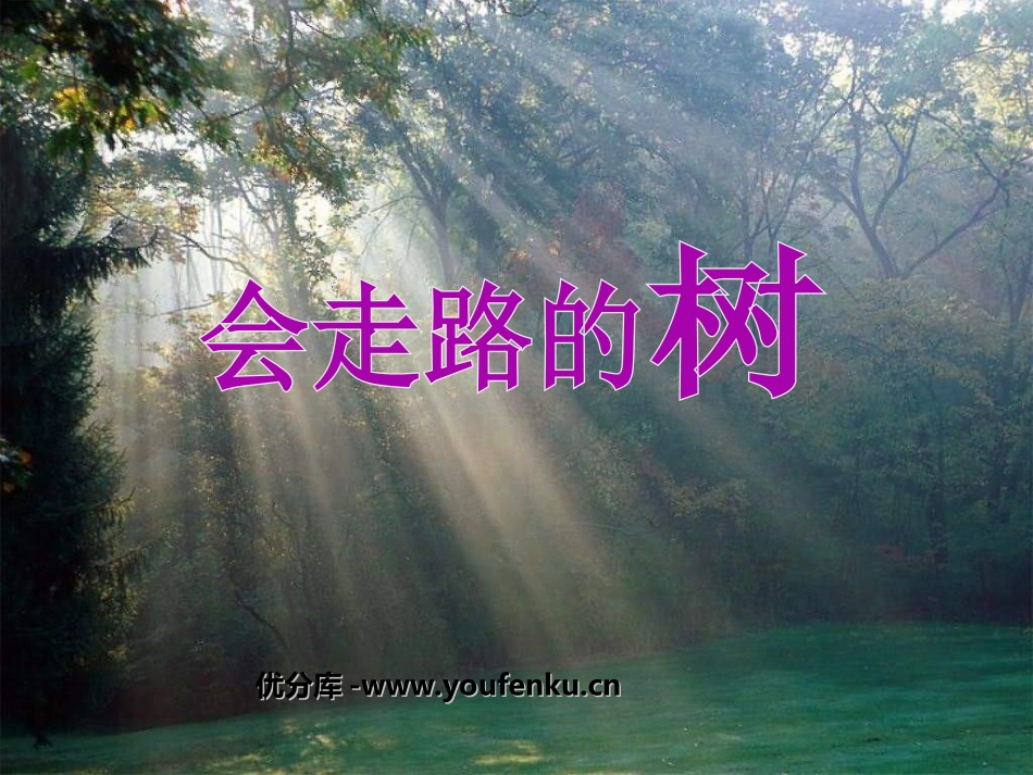 《会走路的树》PPT课件[苏教版二年级语文下册]_第1页