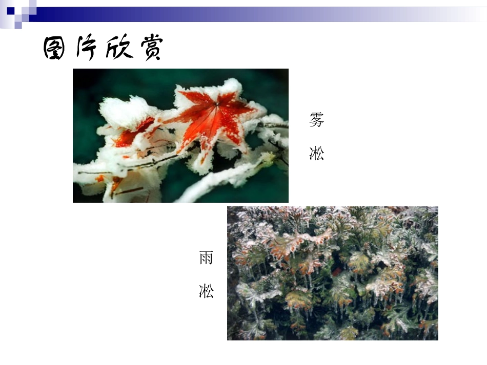 《庐山的云雾》PPT课件[苏教版三年级语文下册]_第2页