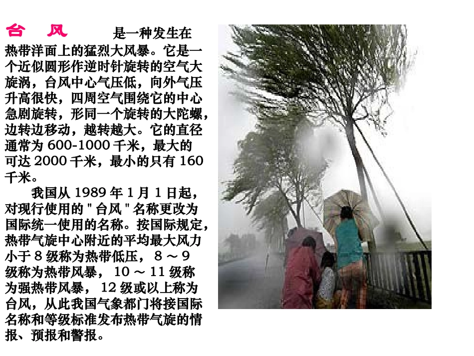 《跟踪台风的卫星》PPT课件[苏教版三年级语文下册]_第2页