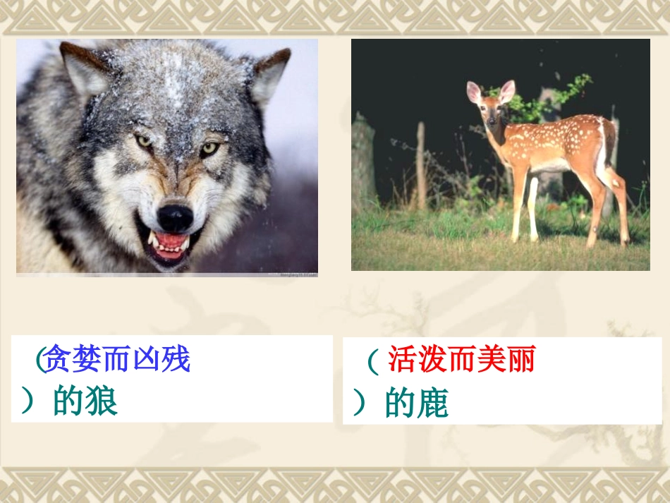 《狼和鹿》PPT课件[苏教版三年级语文下册]_第3页