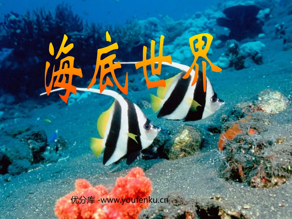 《海底世界》PPT课件[苏教版三年级语文下册]_第1页