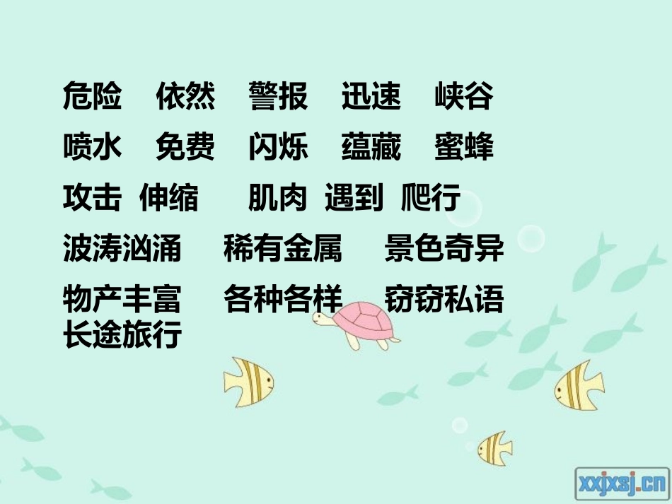 《海底世界》PPT课件[苏教版三年级语文下册]_第2页