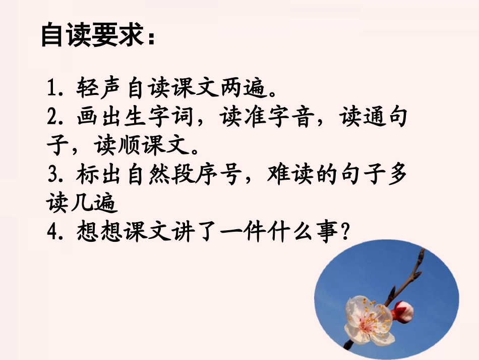 《第一朵杏花》PPT课件[苏教版四年级语文下册]_第3页