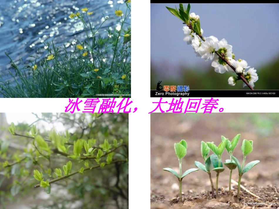 《燕子》PPT课件[苏教版四年级语文下册]_第3页
