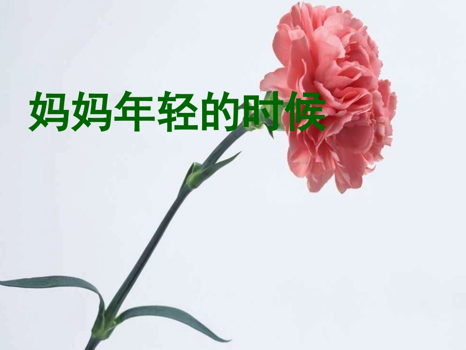 《第一次抱母亲》PPT课件[苏教版四年级语文下册]_第2页