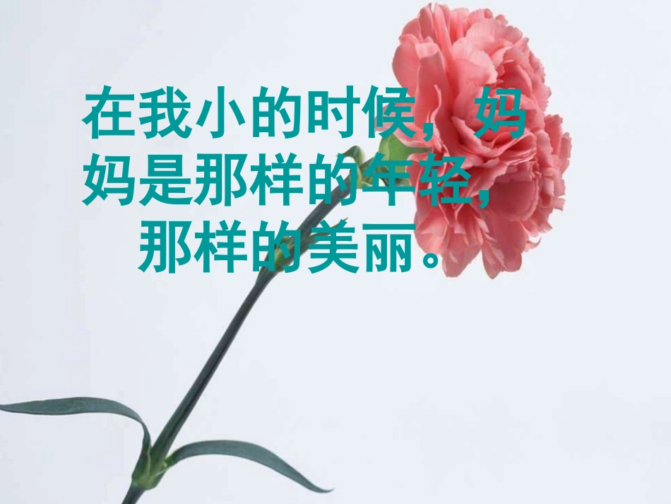 《第一次抱母亲》PPT课件[苏教版四年级语文下册]_第3页