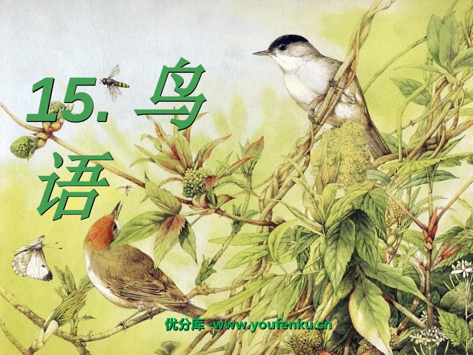 《鸟语》PPT课件[苏教版四年级语文下册]_第1页