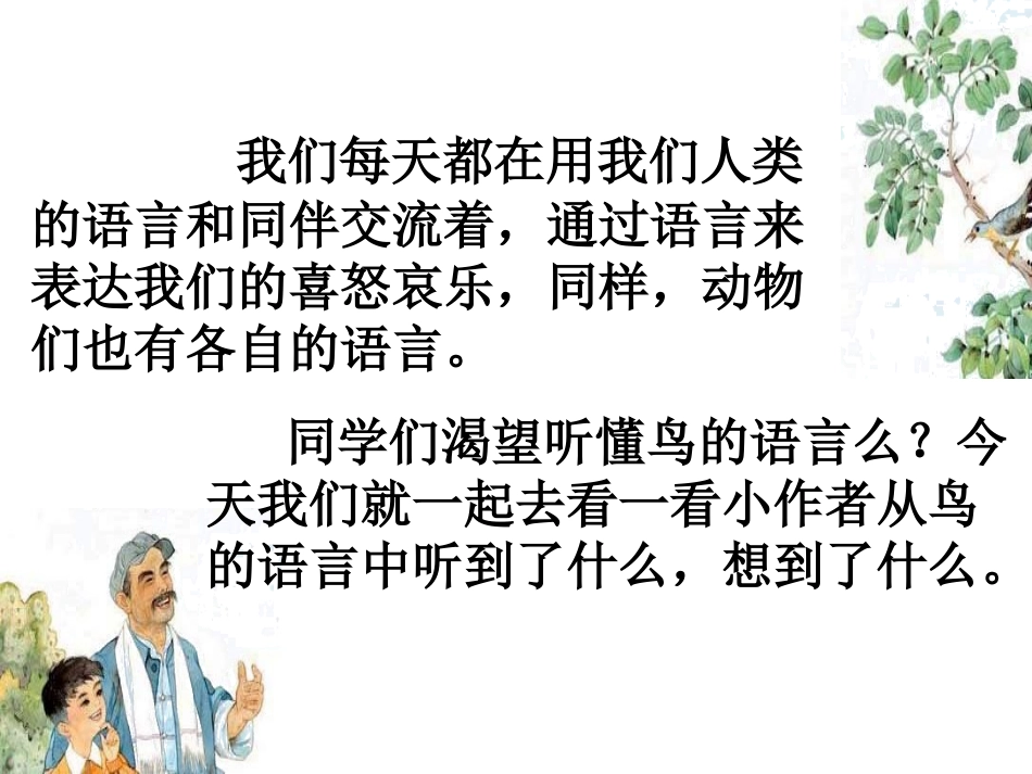 《鸟语》PPT课件[苏教版四年级语文下册]_第2页