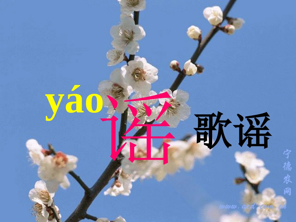 《春光染绿我们双脚》PPT课件[苏教版五年级语文下册]_第3页