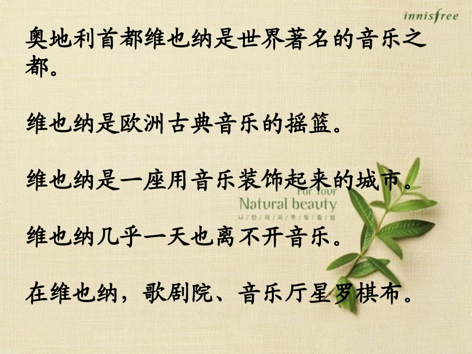 《音乐之都维也纳》PPT课件[苏教版五年级语文下册]_第3页