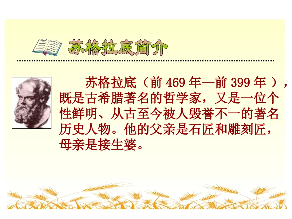 《最大的麦穗》PPT课件[苏教版六年级语文下册]_第2页