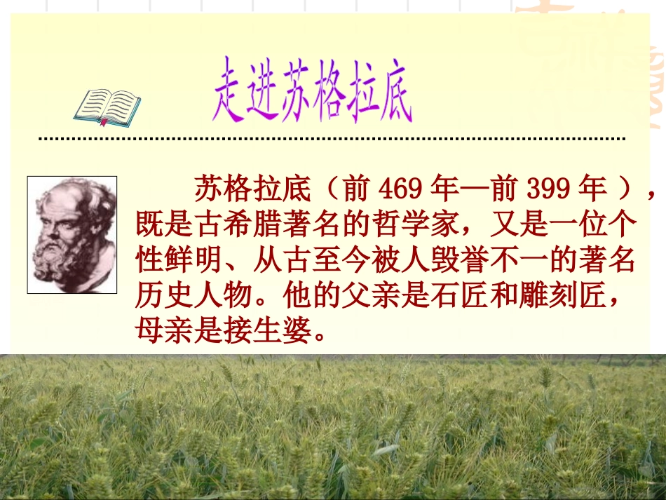 《最大的麦穗》PPT课件[苏教版六年级语文下册]_第2页