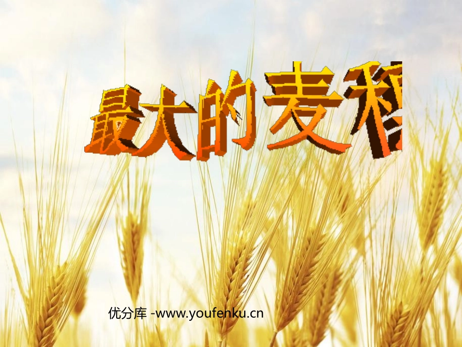 《最大的麦穗》PPT课件[苏教版六年级语文下册]_第1页