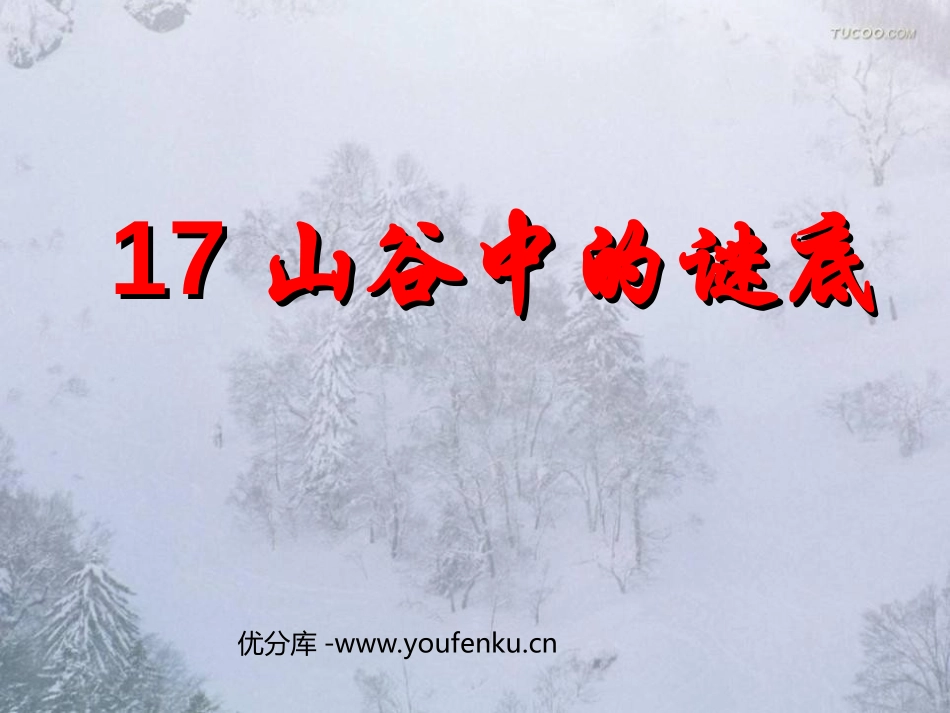 《山谷中的谜底》PPT课件[苏教版六年级语文下册]_第1页