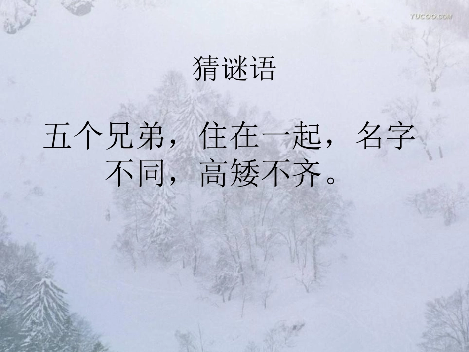 《山谷中的谜底》PPT课件[苏教版六年级语文下册]_第2页