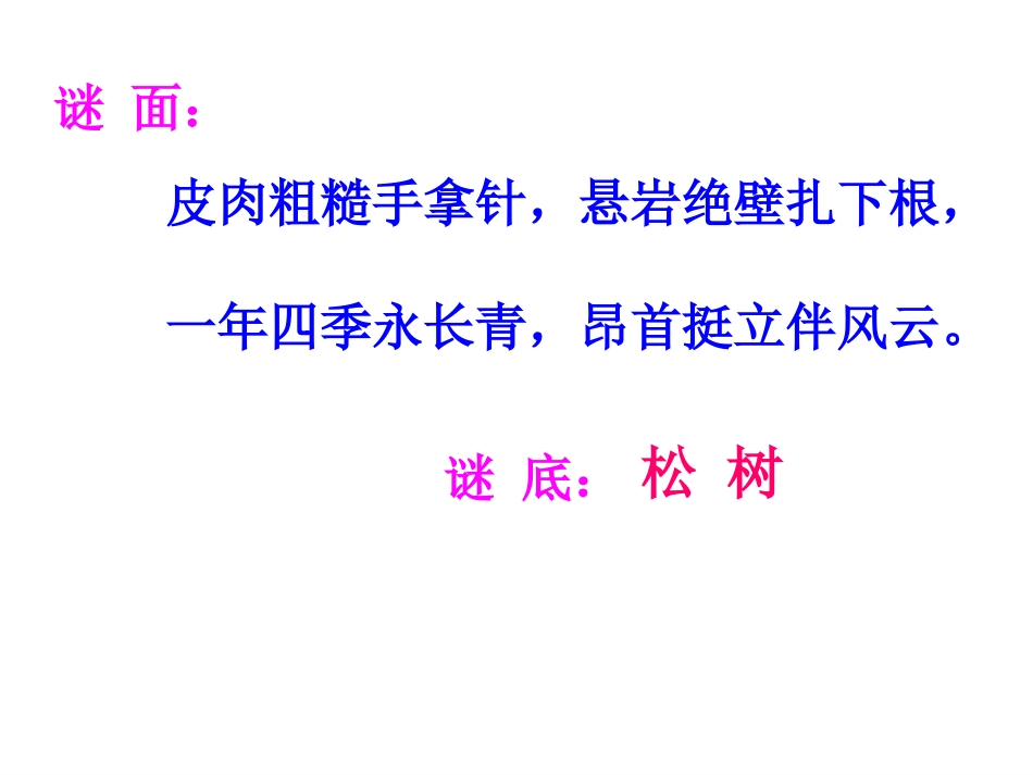 《山谷中的谜底》PPT课件[苏教版六年级语文下册]_第3页