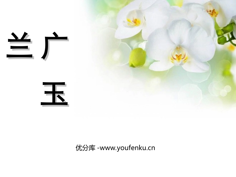 《广玉兰》PPT课件[苏教版六年级语文下册]_第1页