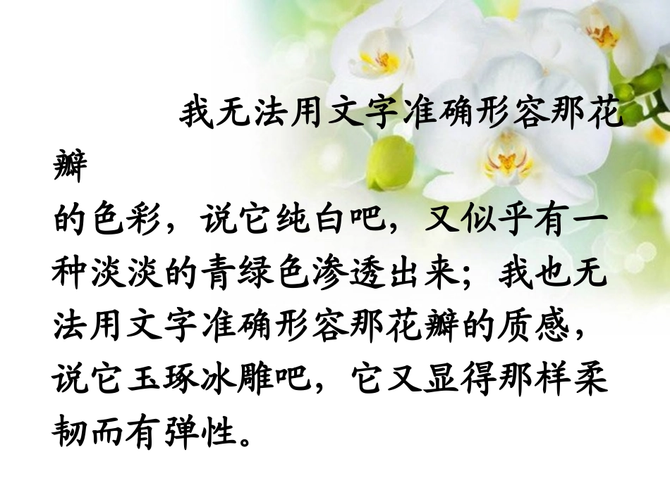 《广玉兰》PPT课件[苏教版六年级语文下册]_第2页