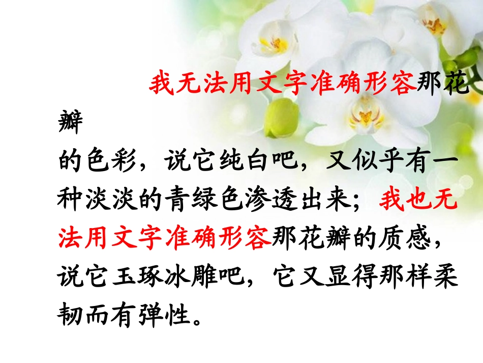 《广玉兰》PPT课件[苏教版六年级语文下册]_第3页