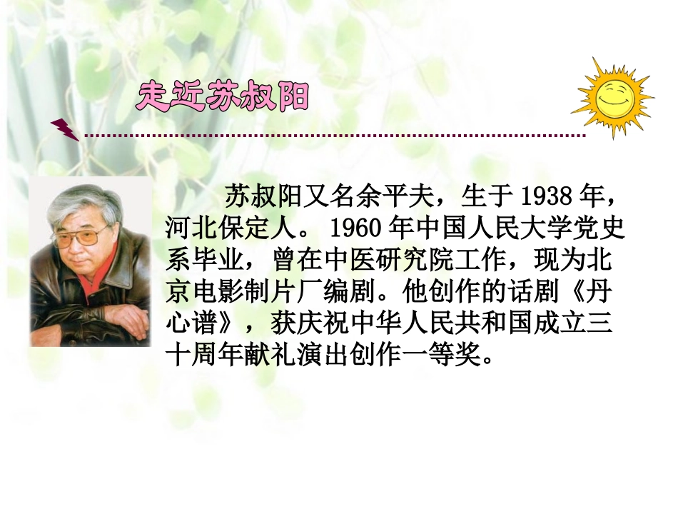 《理想的风筝》PPT课件[苏教版六年级语文下册]_第3页