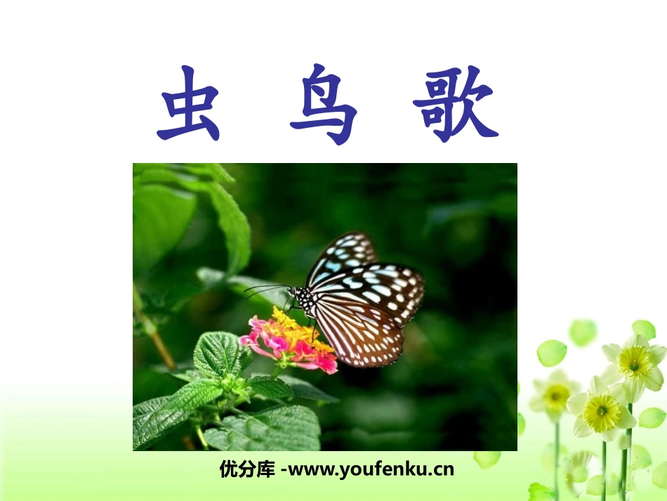 《虫鸟歌》PPT课件[西师大版二年级语文下册]_第1页