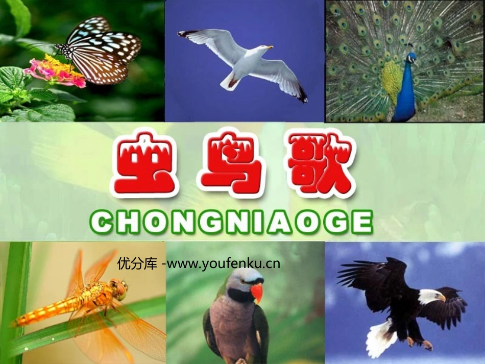 《虫鸟歌》PPT课件[西师大版二年级语文下册]_第1页