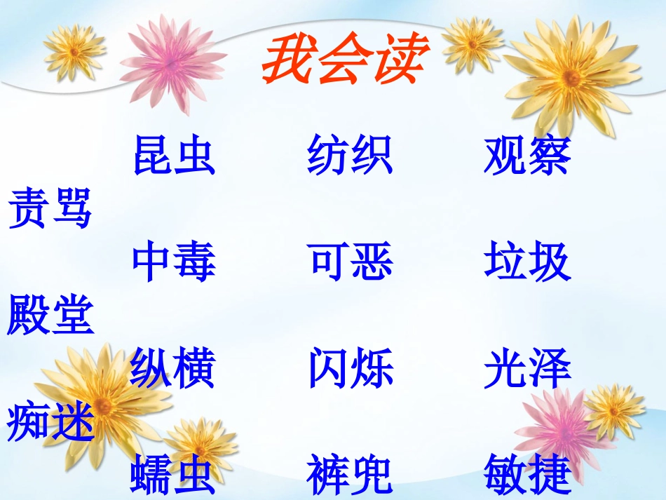 《装昆虫的口袋》PPT课件[西师大版二年级语文下册]_第3页