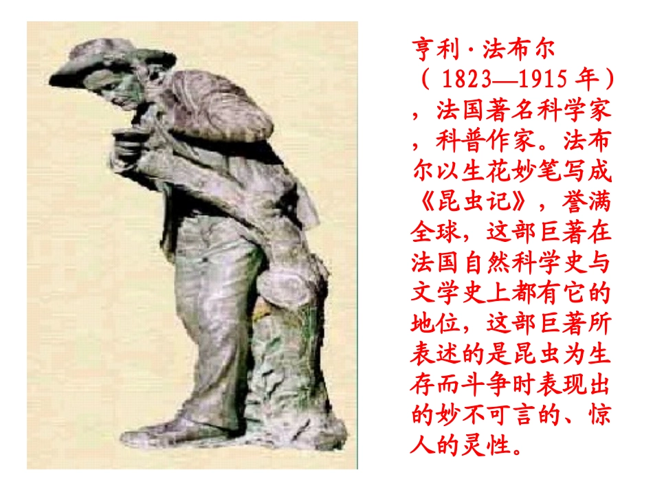 《装昆虫的口袋》PPT课件[西师大版二年级语文下册]_第2页