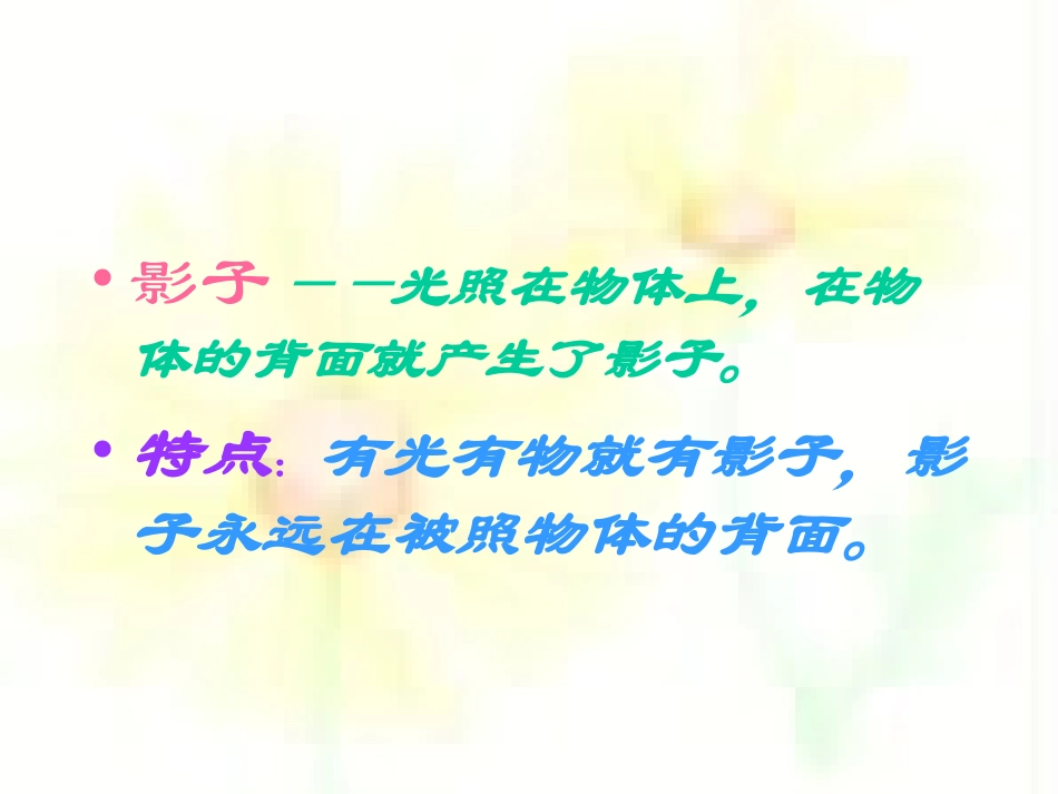 《影子的游戏》PPT课件[一年级美术下册]_第3页