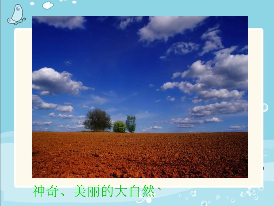 《走进大自然》PPT课件[一年级美术下册]_第3页