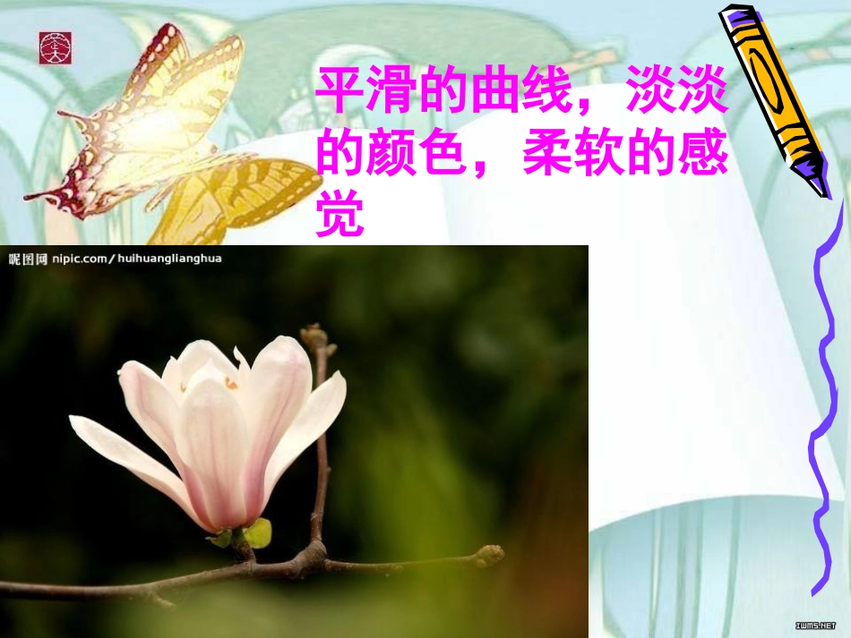 《摸一摸、画一画》PPT课件[一年级美术下册]_第3页