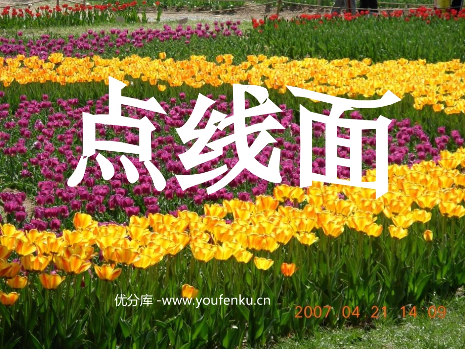 《点、线、面》PPT课件[二年级美术下册]_第1页