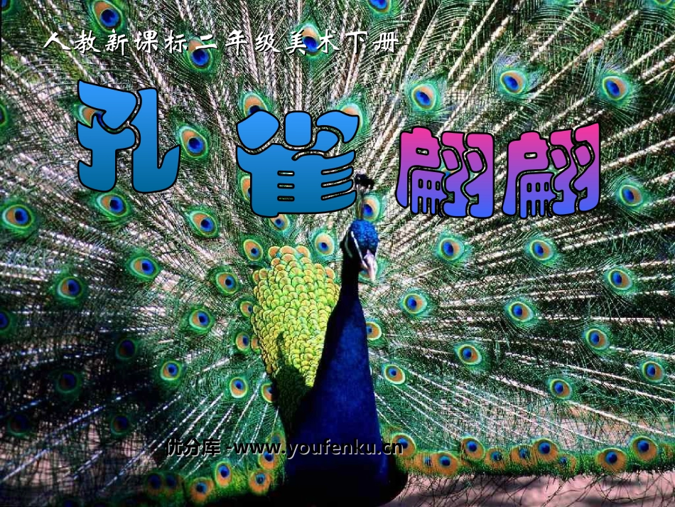 《孔雀翩翩》PPT课件[二年级美术下册]_第1页