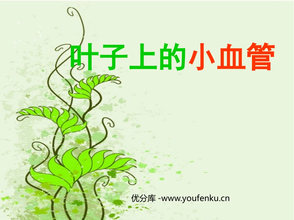 《叶子上的小血管》PPT课件[二年级美术下册]_第1页