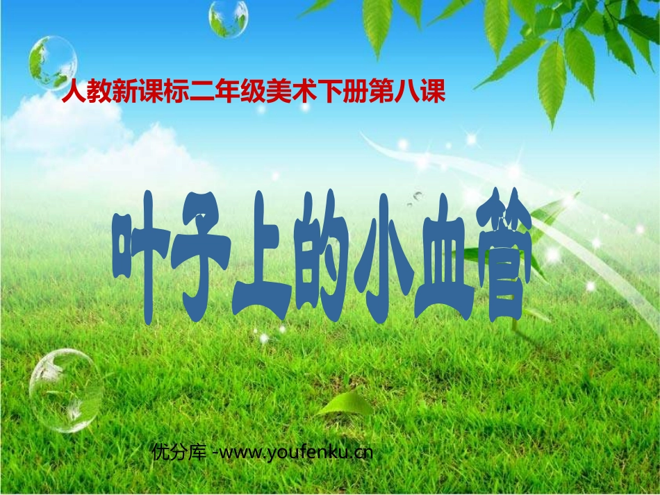 《叶子上的小血管》PPT课件[二年级美术下册]_第1页