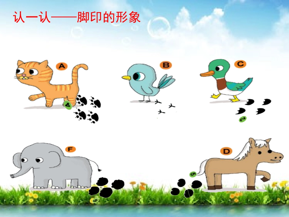 《奇妙的脚印》PPT课件[二年级美术下册]_第3页