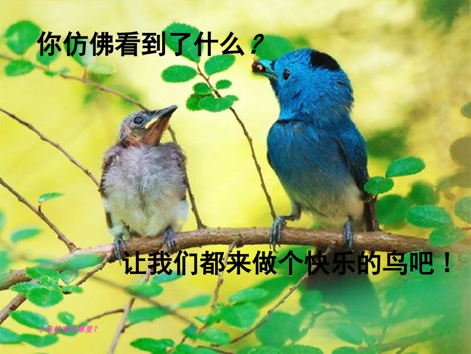 《小鸟的家》PPT课件[二年级美术下册]_第1页