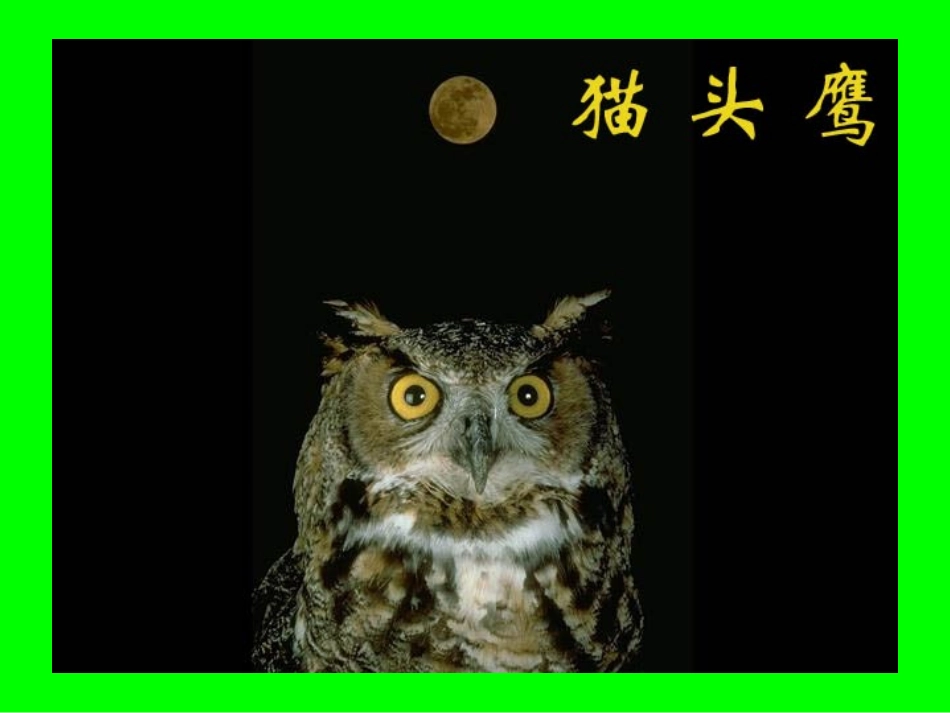 《小鸟的家》PPT课件[二年级美术下册]_第3页