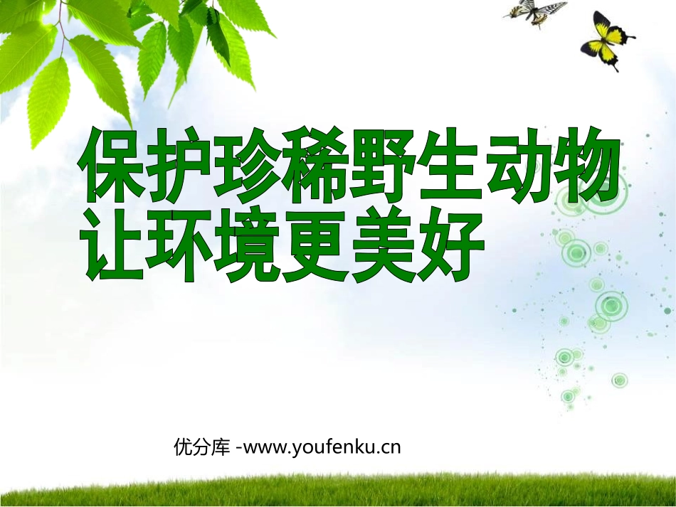 《保护珍稀野生动物》PPT课件[三年级美术下册]_第1页