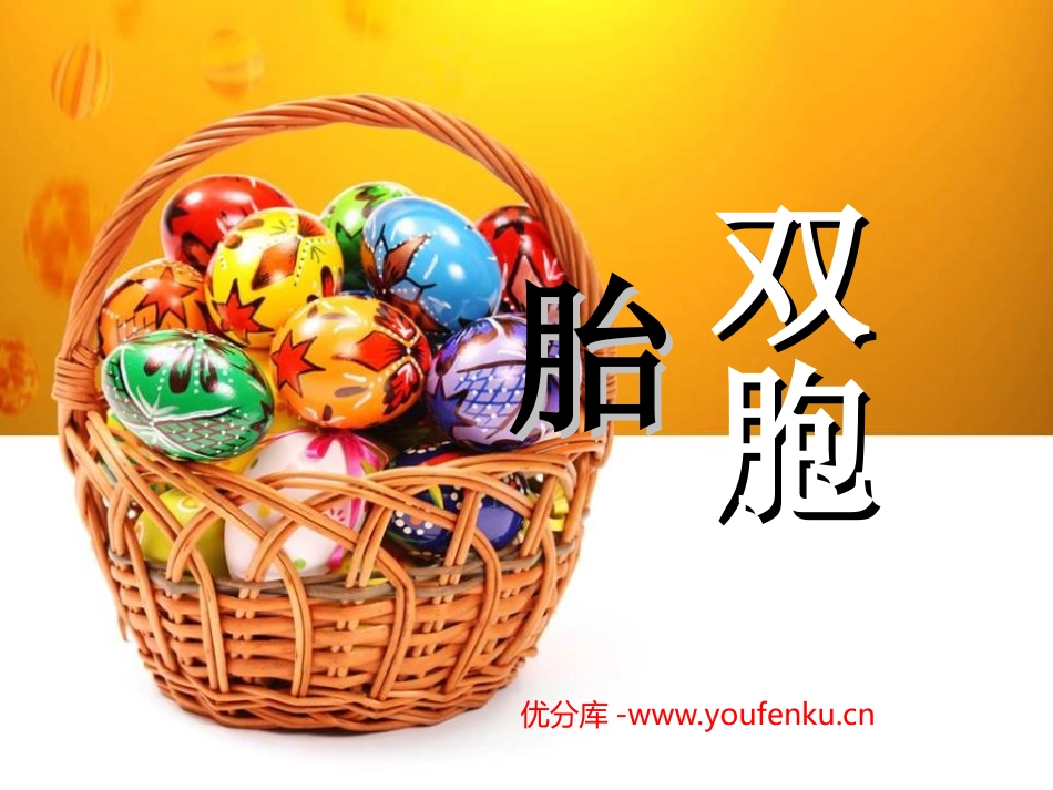 《双胞胎》PPT课件[四年级美术下册]_第1页